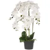 Image de Plante artificielle ORCHID 63 cm Blanc