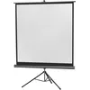 Image de Ecran De Projection Sur Pied Celexon Economy 184 X 184 Cm