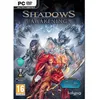Image de Shadow Awakening Jeu PC