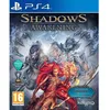 Image de Shadow Awakening Jeu PS4
