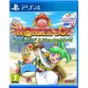 Image de Wonder Boy Asha In Monster World PS4 en occasion ou reconditionné
