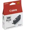 Image de Canon PFI-300 - Gris