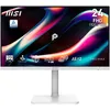 Image de MSI PRO MAX 241PHW E14