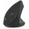 Image de Acer Hp.expbg.009 Souris Bureau Droitier Rf Sans Fil Optique 1600 Dpi