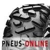 Image de Maxxis M-918 Big-Horn 6-PR E4 25 10 12 N 50