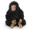 Image de Chimpanze Bebe 25 Cm -