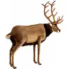 Image de Peluche Géante Cerf Hansa 150 Cm - Décoration Réaliste En Forêt