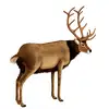 Image de Peluche Géante Cerf Hansa 120 Cm - Décoration Forestière Réaliste