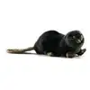 Image de Castor Couche 22cm - Anima