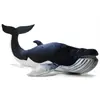 Image de Peluche Anima Baleine Bleue 59 Cm Multicolor