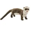 Image de Furet 35cml - anima hansa 6310
