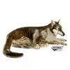 Image de Hansa Peluche Géante Loup Couché 125 Cm - Compagnon Idéal Pour Enfants