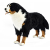 Image de Peluche Géante Bouvier Bernois Hansa 125 Cm - Animaux En Peluche Réalistes