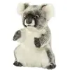 Image de Peluche Hansa Koala 26cm Multicolor Autres