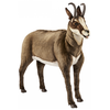Image de Peluche Chamois Géante De 107 Cm - Hansa Anima