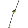 Image de Taille-haie Sur Perche Électrique Ryobi Rpt4545e, 450 W L.45 Cm