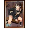 Image de Seiren Hikari Tsuneki P2 Vol 1220 Character Card Game Sleeves Collection Anime