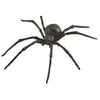 Image de Figurine araignée noire veuve Collecta - modèle junior 14 cm en plastique ABS
