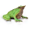 Image de Figurine - FIGURINES COLLECTA - Grenouille de Darwin - Peinte à la main - 5.7 cm - Multicolore