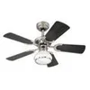 Image de Ventilateur de plafond Princess Radiance II -  
