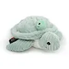 Image de Les Deglingos Ptipotos Tortue Géante Maman/bebe Menthe Vert