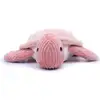 Image de Ptipotos Tortue Geante Rose
