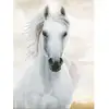Image de Diamond Dotz Cheval Blanc Impérial