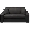 Image de Canapé 2 places convertible express en tissu - Anthracite - Couchage 120 cm - Matelas 14 cm EMIR