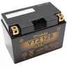 Image de Batterie AGM Yuasa YTZ12S 12V 11Ah Activée Usine