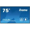 Image de iiyama 74.5" LED - ProLite LH7565UHSB-B1 - Ecran dynamique 4K UHD