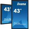 Image de Iiyama Tf4339as-b1ag 42.5" Led 4k Ultra Hd 8 Ms Noir