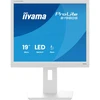 Image de Iiyama Prolite B1980s W1 Écran Plat De Pc 48,3 Cm (19) 1280 X 1024 Pixels Svga Led Blanc