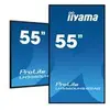 Image de iiyama ProLite 55 ecran LCD retro-eclaire par LED - 4K - pour signalisation numerique