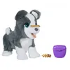 Image de Hasbro Frr Ricky, Le Petit Chien TrÃ¨s Malin en occasion ou reconditionné