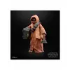 Image de Figurine Hasbro Teeka (jawa) Star Wars Black Series