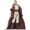 Image de Figurine Hasbro Star Wars The Black Series Jedi Master Indara