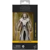 Image de Star wars : the clone wars black series figurine d'action jedi temple guard 15 cm