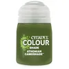 Image de Peinture - Games Workshop - Citadel-Shade Athonian - Vert - Marron - 18 ml