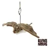 Image de Peluche chauve-souris 24 cm