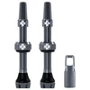 Image de Valves tubeless Muc-Off V2 gris (paire)- 60mm