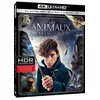Image de Les Animaux Fantastiques - 4k Ultra Hd + Blu-Ray + Digital Hd en occasion ou reconditionné