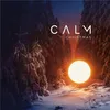Image de Calm Christmas - Vinyle 33 Tours en occasion ou reconditionné