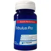 Image de Myprotein Tribulus Pro 90 Gelcaps