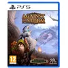 Image de Against The Storm PS5