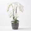 Image de Grande Orchidée artificielle blanche en pot en céramique foncé 82 cm