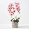 Image de Orchidée artificielle rose en pot en ciment naturel 64 cm