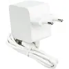 Image de Raspberry Alimentation secteur USB-C