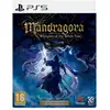 Image de Mandragora whispers of the witch tree premium collector edition ps5