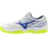 Image de Chaussures de tennis Mizuno Break Shot 5 CC Blanc 40 61GC252520