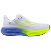 Image de Mizuno Wave Rider 29